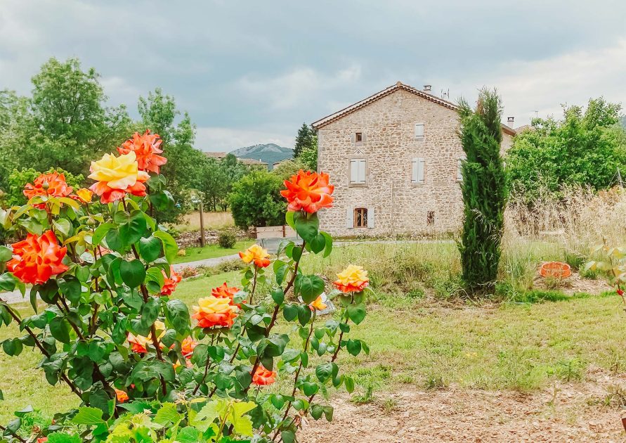 LE JARDIN